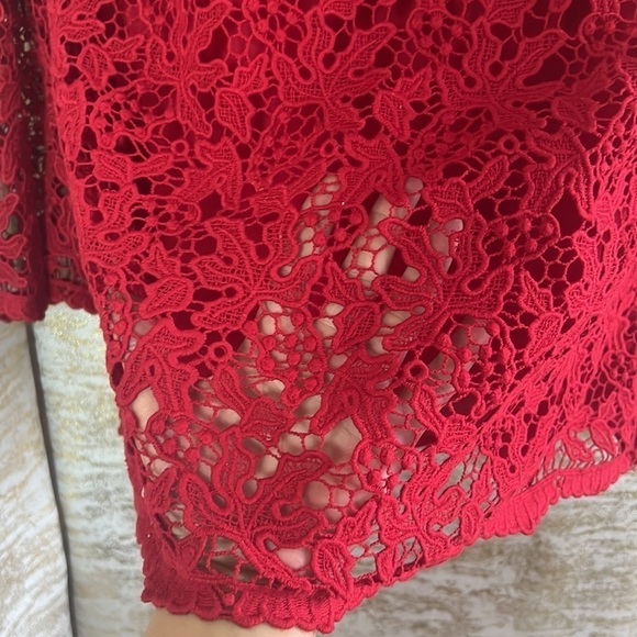 Talbots Hot Red 100% Cotton Autumn Lace Blouse - Picture 8 of 14